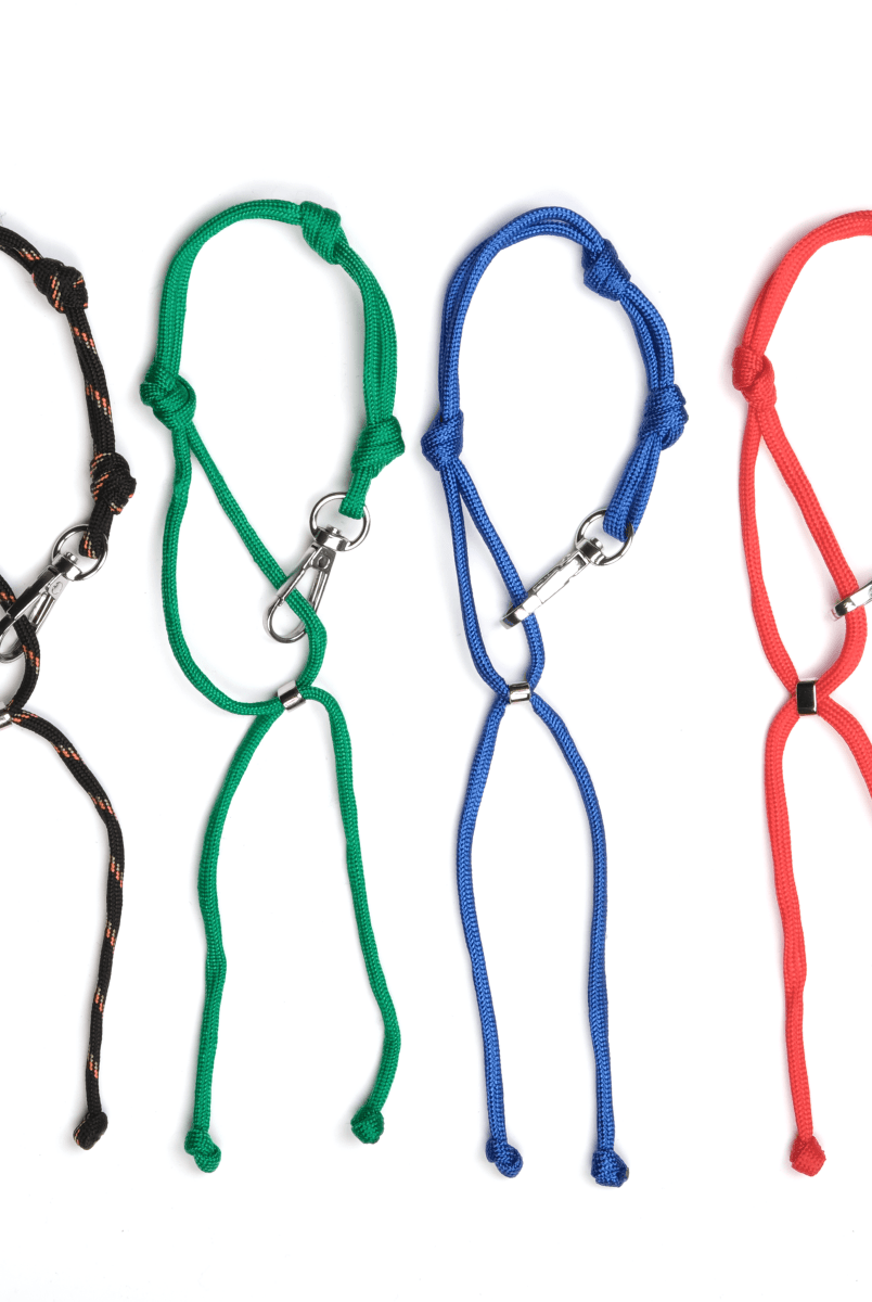 Charm Keychain Renkli Kordon Süs - SUMTHINCS