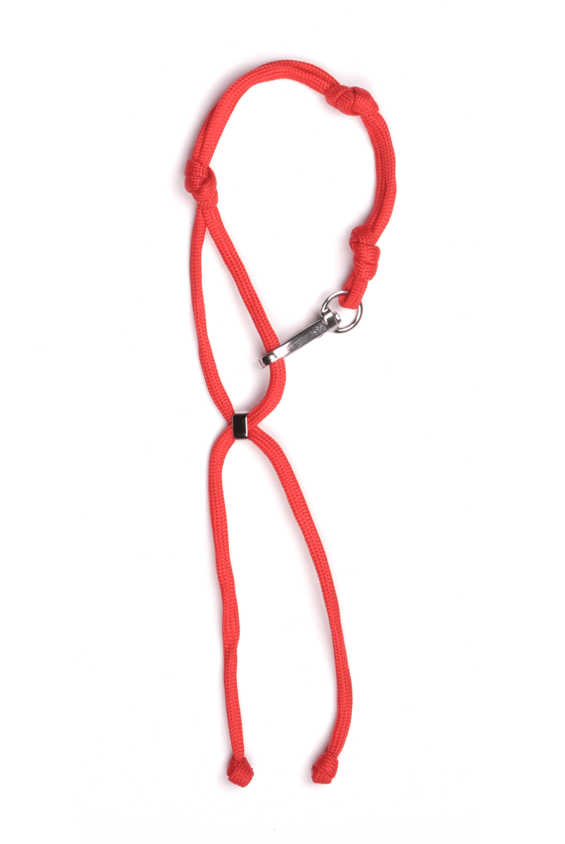 Charm Keychain Renkli Kordon Süs - SUMTHINCS