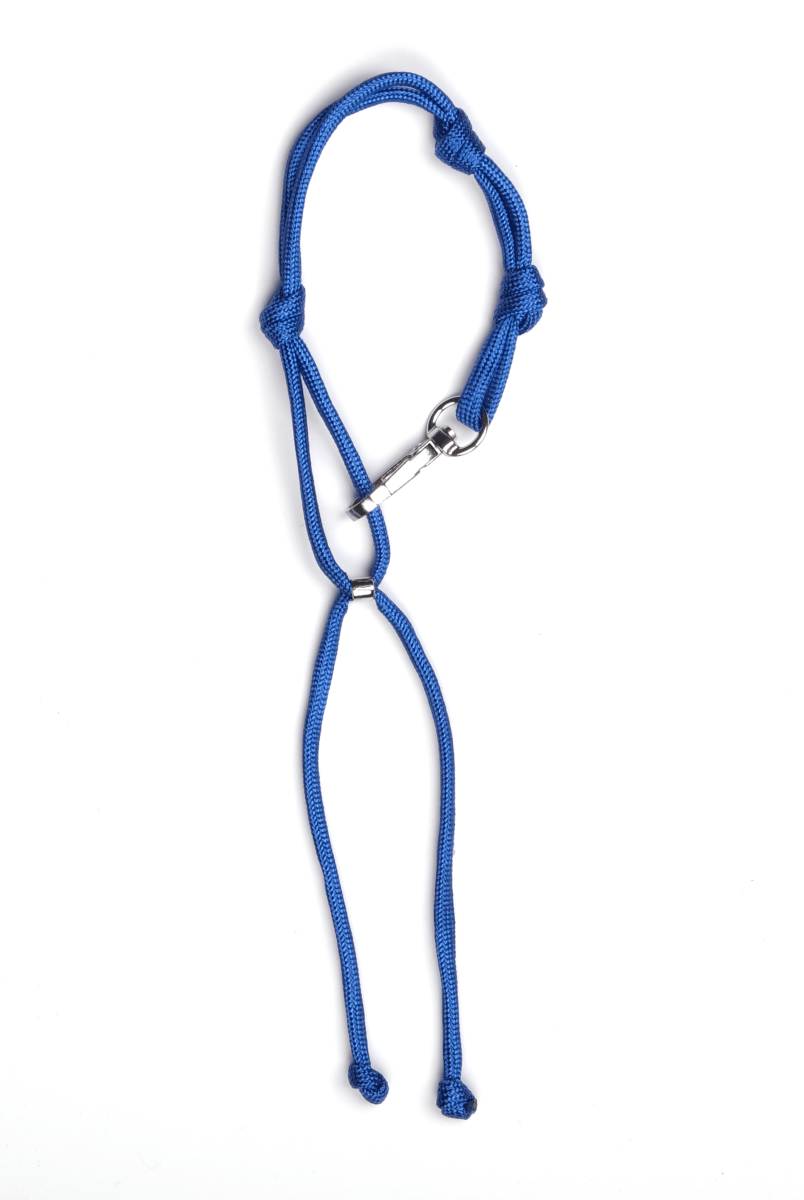 Charm Keychain Renkli Kordon Süs - SUMTHINCS