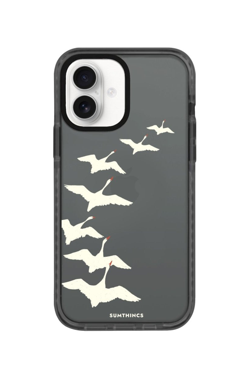 iPhone 16 Journey Procase Şeffaf Telefon Kılıfı Antrasit - SUMTHINCS