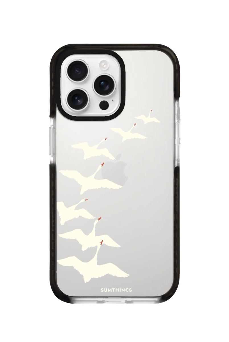 iPhone 16 Pro Journey Procase Şeffaf Telefon Kılıfı - SUMTHINCS