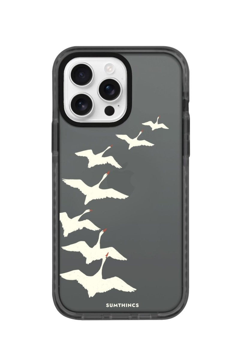 iPhone 16 Pro Journey Procase Şeffaf Telefon Kılıfı - SUMTHINCS