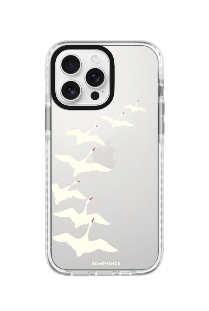 iPhone 16 Pro Journey Procase Şeffaf Telefon Kılıfı - SUMTHINCS