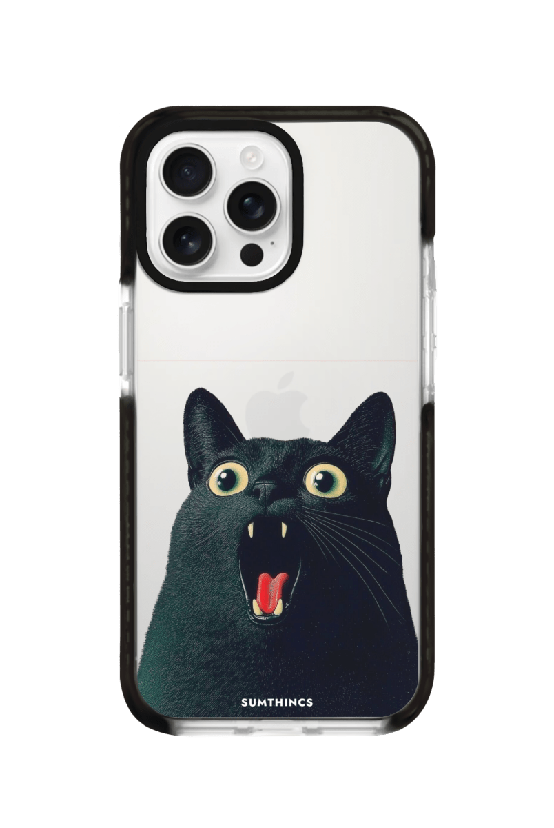 iPhone 16 Pro Meoww Procase Telefon Kılıfı Siyah Şeffaf - SUMTHINCS