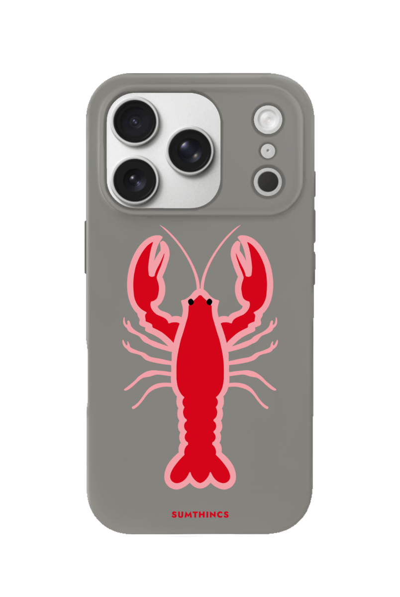 iPhone 17 Pro Lobster Premium Telefon Kılıfı Gri - SUMTHINCS