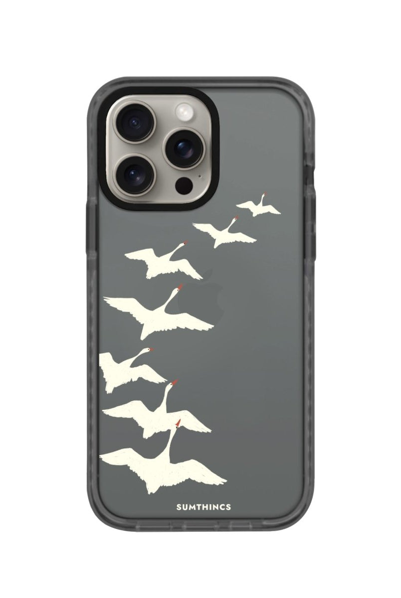 iPhone XR Journey Procase Şeffaf Telefon Kılıfı Antrasit - SUMTHINCS