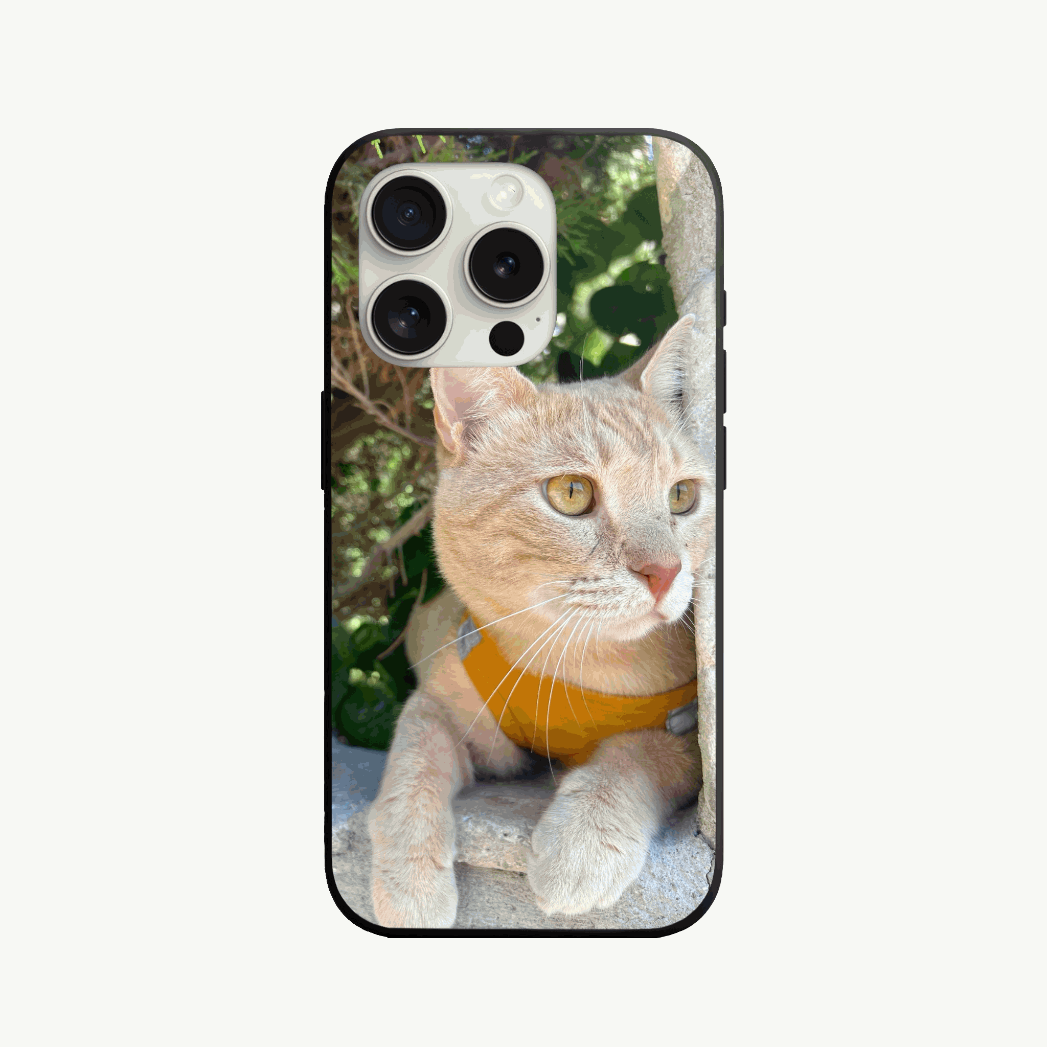 iPhone 16 Pro Max Kişiye Özel Baskı Görsel Yükle Premium Telefon Kılıfı - SUMTHINCS