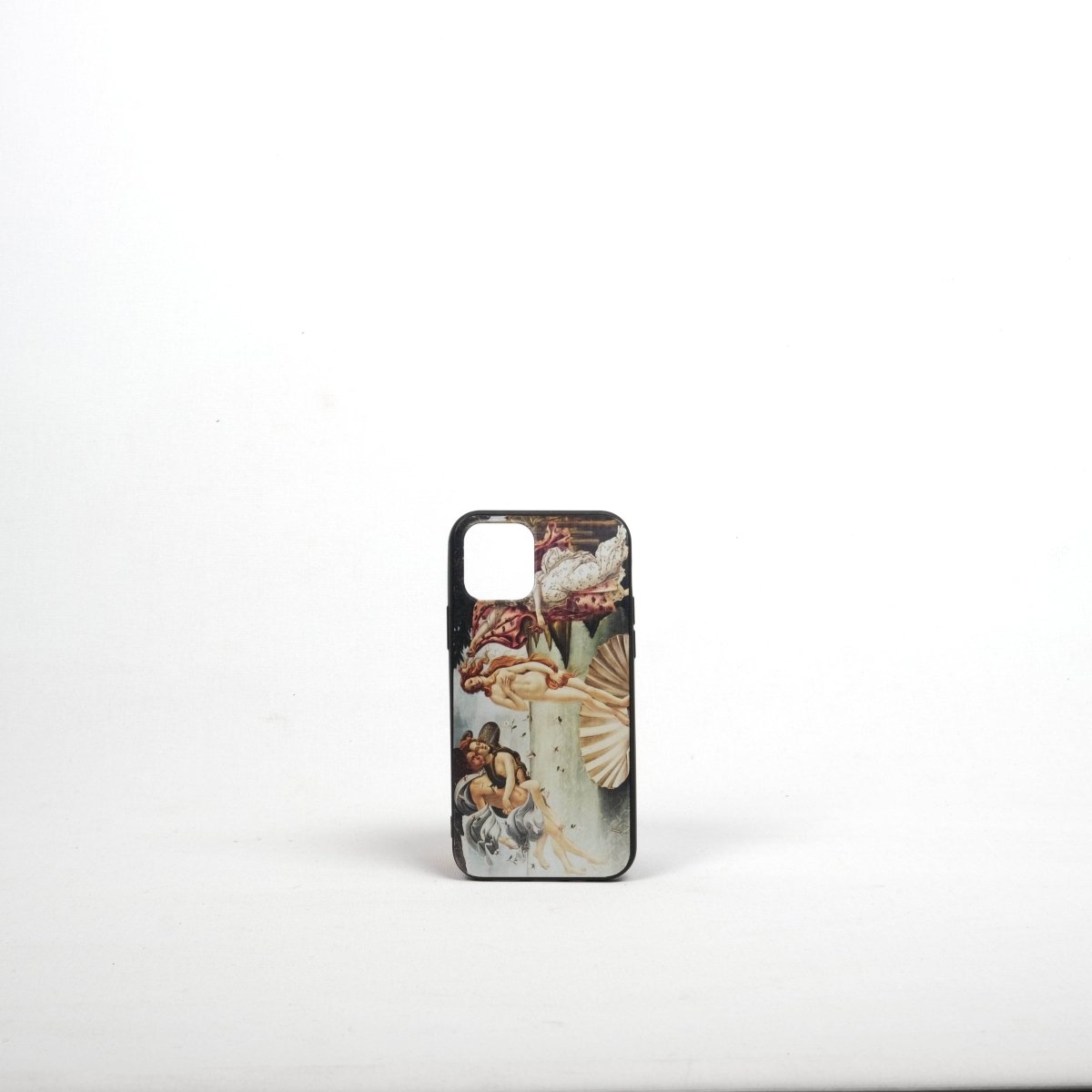 iPhone 12 Essential Telefon Kılıfı OUTLET - SUMTHINCS