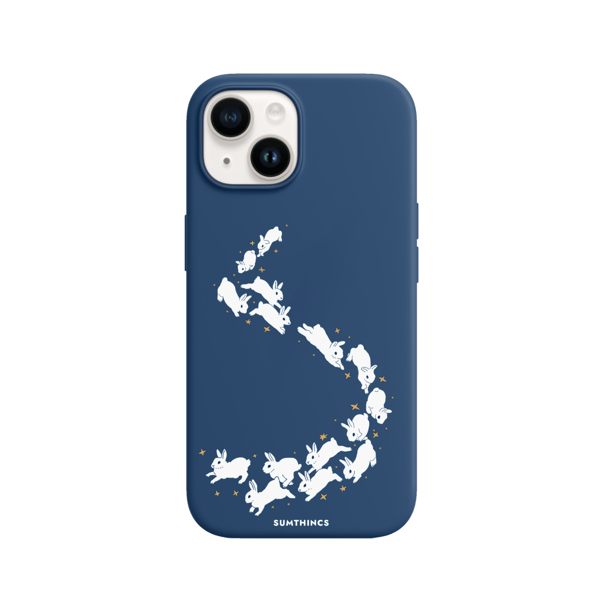 iPhone 13 Neon Fish Premium Telefon Kılıfı Pasifik Mavi - SUMTHINCS