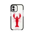 iPhone 16 Lobster Procase Şeffaf Telefon Kılıfı - SUMTHINCS