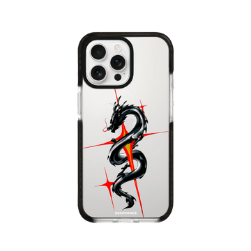 Procase 