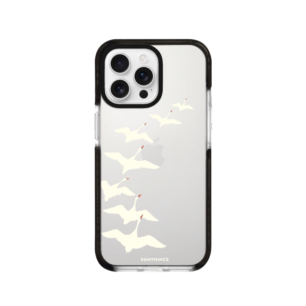 iPhone 16 Pro Journey Procase Şeffaf Telefon Kılıfı - SUMTHINCS