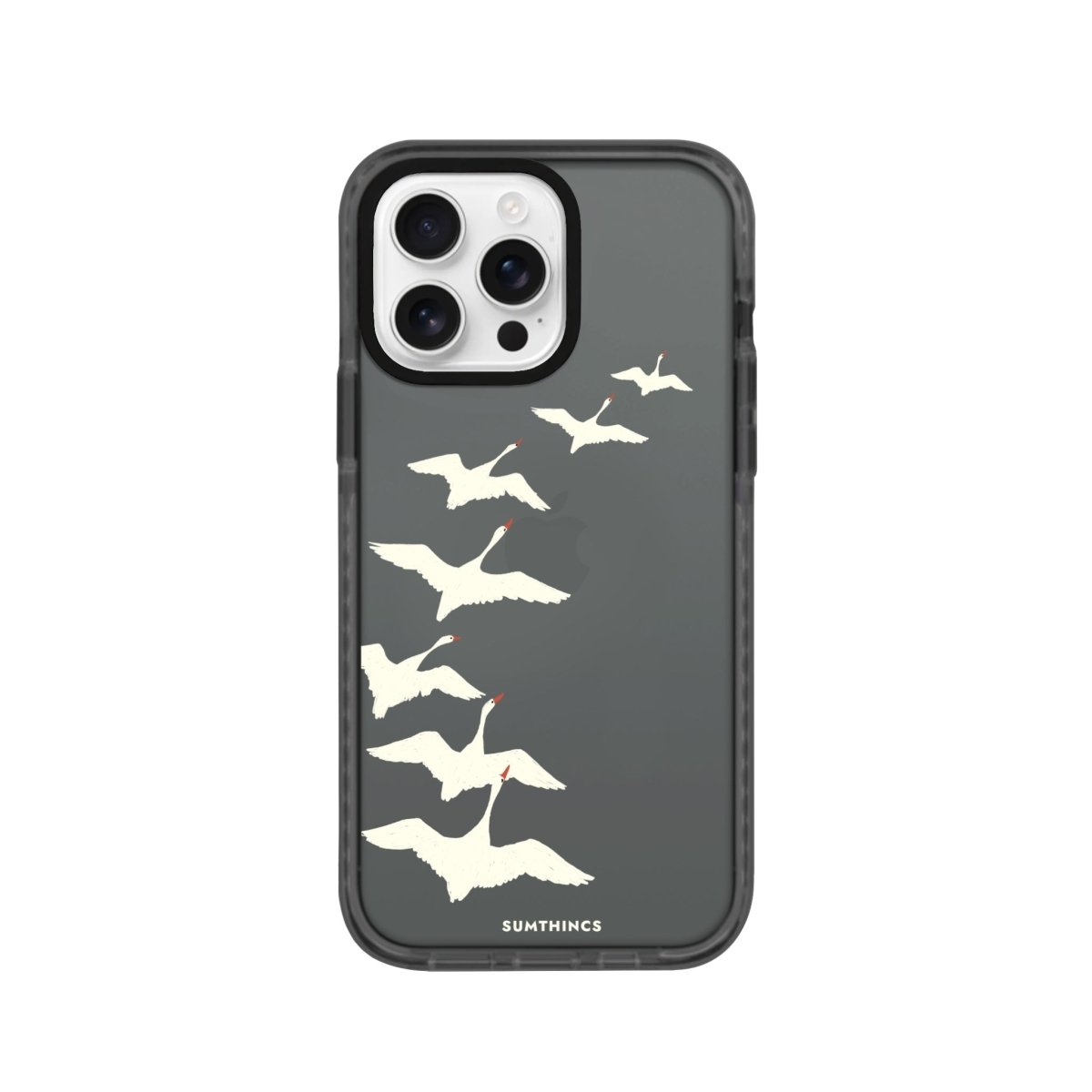 iPhone 16 Pro Journey Procase Şeffaf Telefon Kılıfı Antrasit - SUMTHINCS