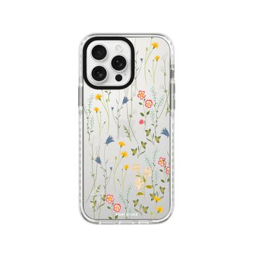 Procase 