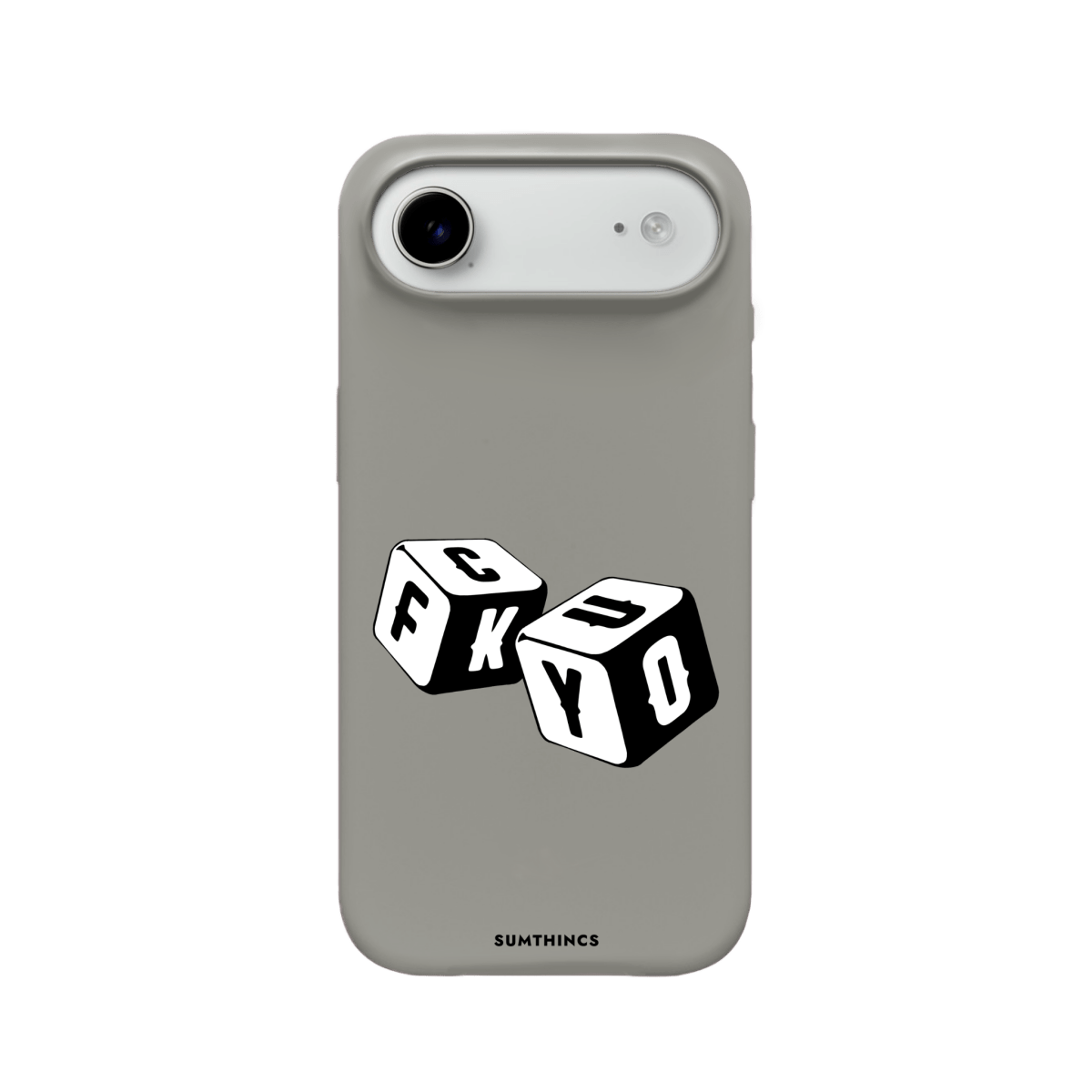 iPhone 17 Air Fck You Premium Telefon Kılıfı Gri - SUMTHINCS