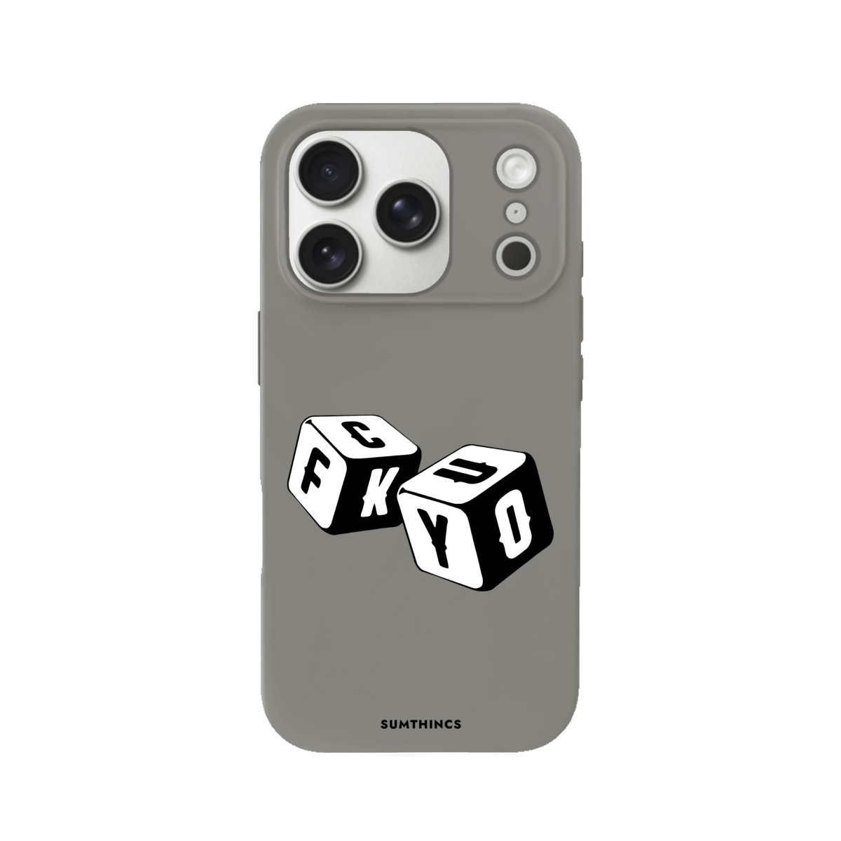 iPhone 17 Pro Fck You Premium Telefon Kılıfı Gri - SUMTHINCS