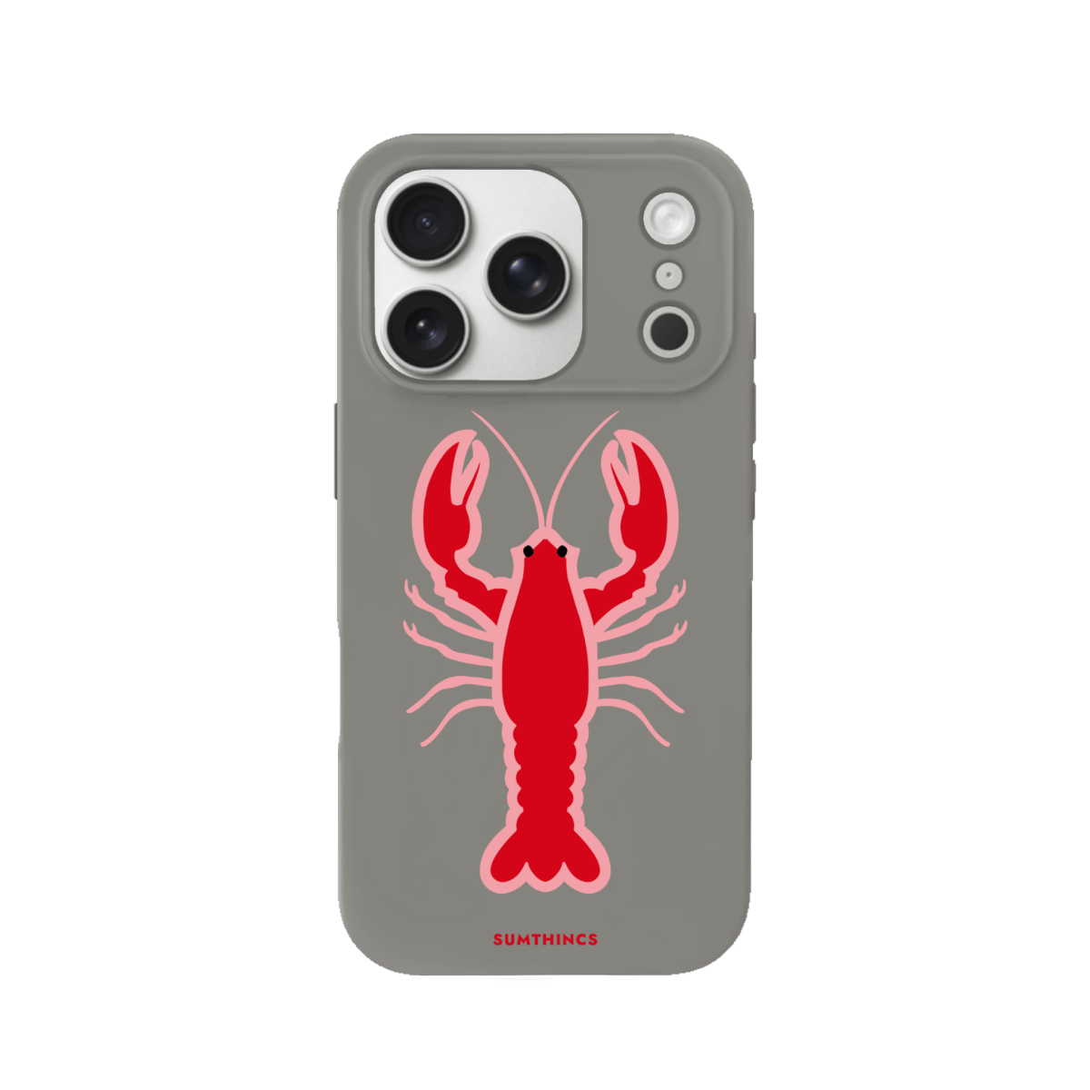 iPhone 17 Pro Lobster Premium Telefon Kılıfı Gri - SUMTHINCS