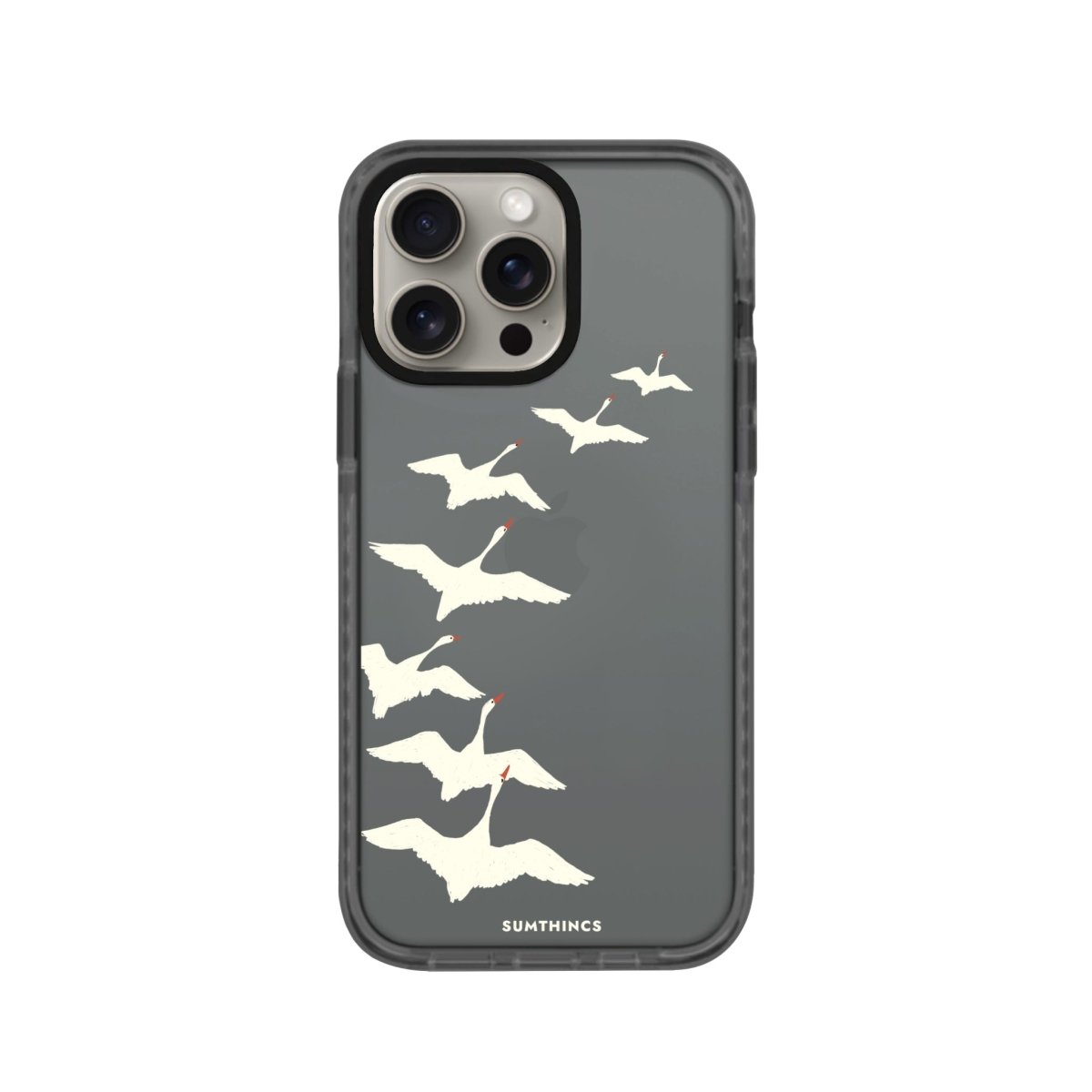 iPhone XR Journey Procase Şeffaf Telefon Kılıfı Antrasit - SUMTHINCS